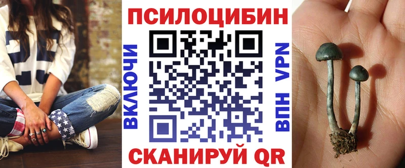 цены наркотик  нарко площадка состав  Галлюциногенные грибы Magic Shrooms  Биробиджан 