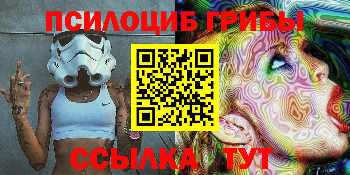 Псилоцибиновые грибы Psilocybe  Псилоцибиновые грибы мицелий  Вход с VPN  Биробиджан 